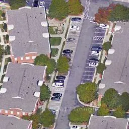 Raleigh Center for Spine and Trauma Picture 3