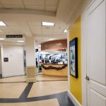 Center for Chiropractic & Wellness