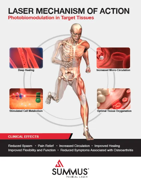 Southern Chiropractic PLLC Picture 2