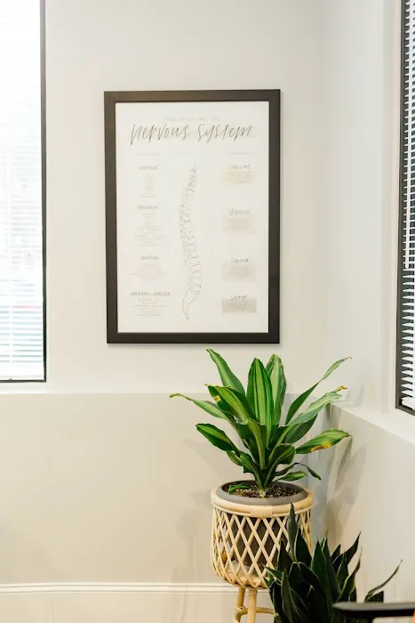 Davis Family Chiropractic Picture 10