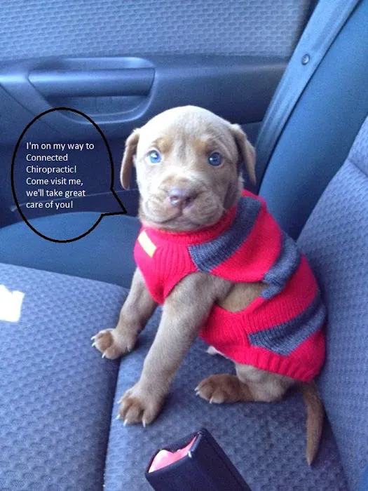 Connected Chiropractic Picture 5