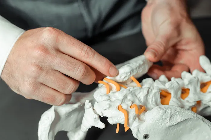 Spartan Chiropractic Picture 5