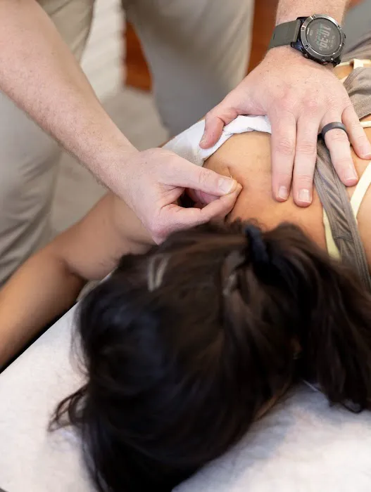 Dynamic Wellness & Chiropractic Picture 3