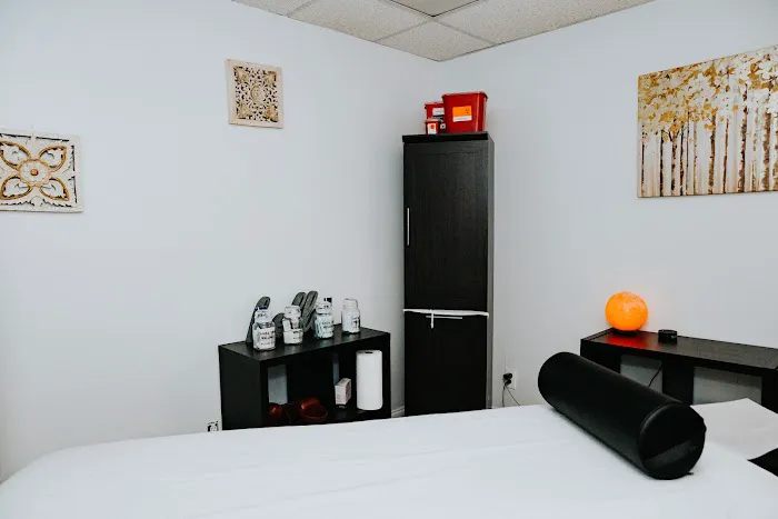 Tampa Spine & Wellness Picture 2
