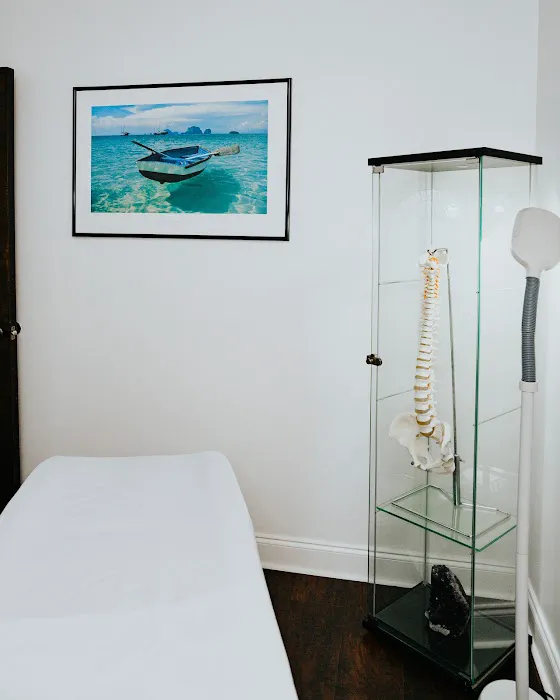 Tampa Spine & Wellness Picture 5
