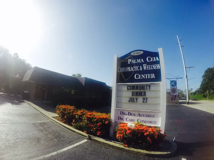 Champion Wellness Centers (formerly Palma Ceia Chiropractic and Wellness) Picture 1