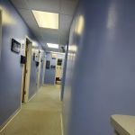 Downtown Tampa Wellness Center