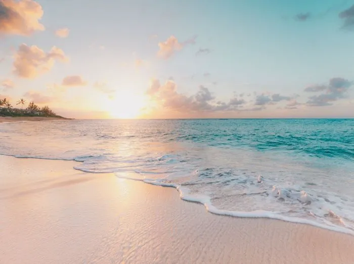 Downtown Tampa Wellness Center Picture 4