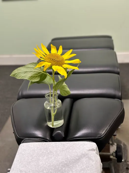 Simply Chiropractic Picture 4