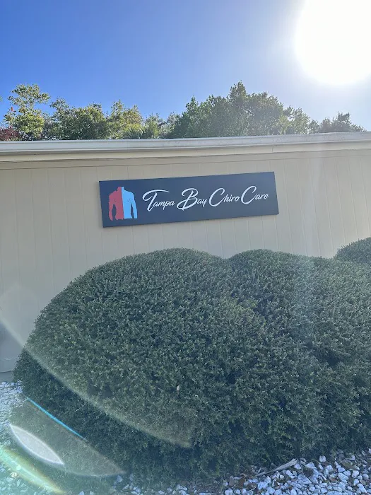 Tampa Bay Chirocare Picture 2