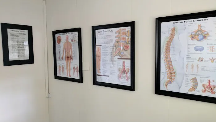Tampa Bay Chirocare Picture 9