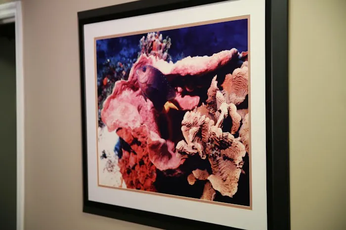 Cobb Rehab & Wellness Picture 1