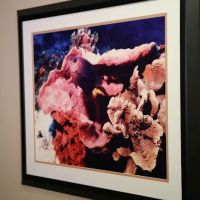 Cobb Rehab & Wellness ico