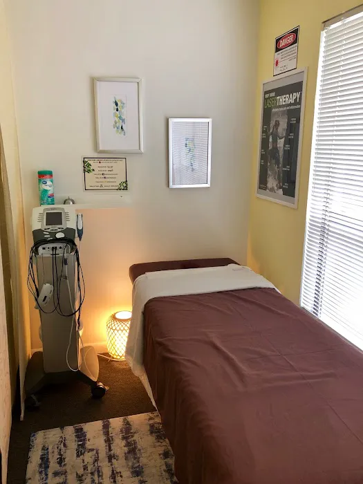 Chiropractic & Holistic Center of Tampa Picture 3