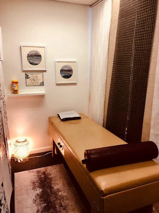 Chiropractic & Holistic Center of Tampa Picture 8