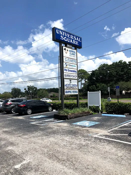 Chiropractic & Holistic Center of Tampa Picture 9