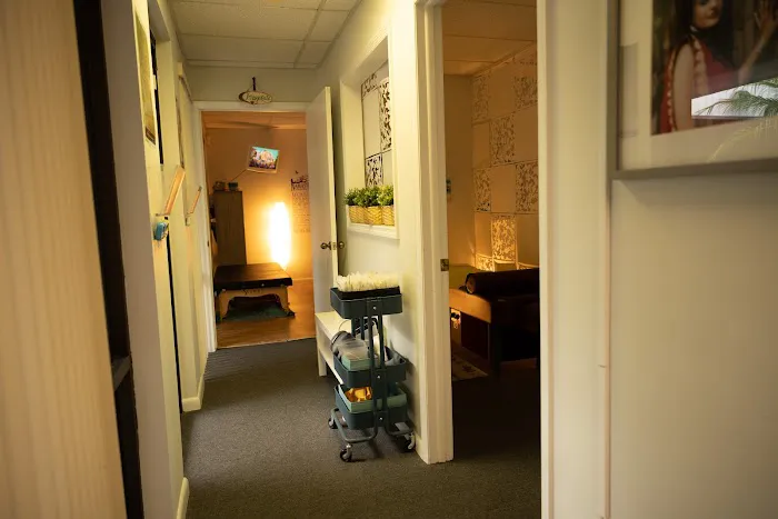 Chiropractic & Holistic Center of Tampa Picture 7