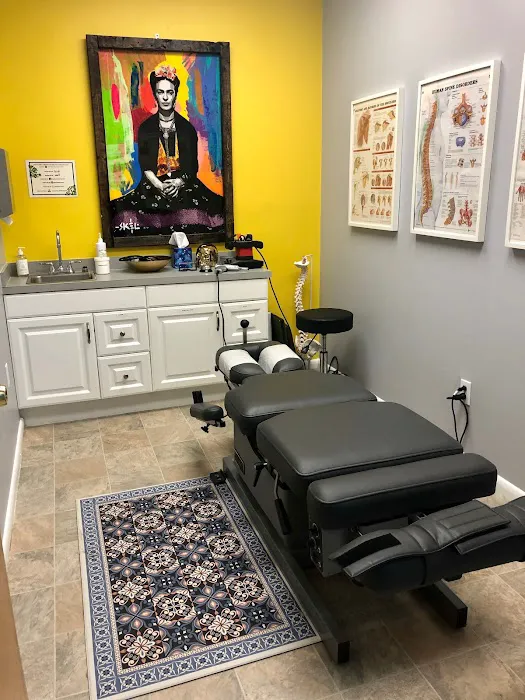 Chiropractic & Holistic Center of Tampa Picture 10