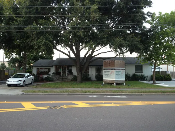 Tampa Sports & Wellness Chiropractic Picture 1