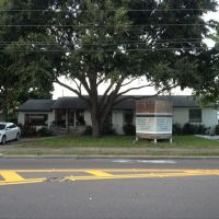 Tampa Sports & Wellness Chiropractic ico