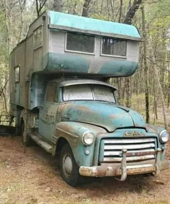 Momentum Medical Of Temple Terrace Picture 2