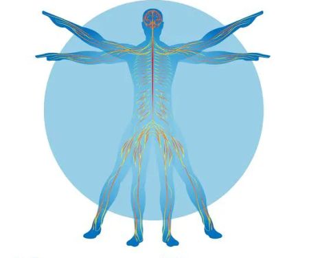 Natural Healing of Tampa Bay