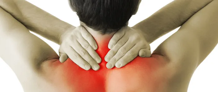 Brandon Chiropractic Associates Picture 9
