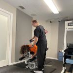 Back To Wellness Chiropractic