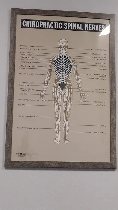 Momentum Chiropractic Picture 7