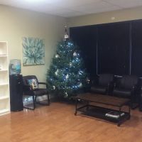 Tampa Central Chiropractic ico