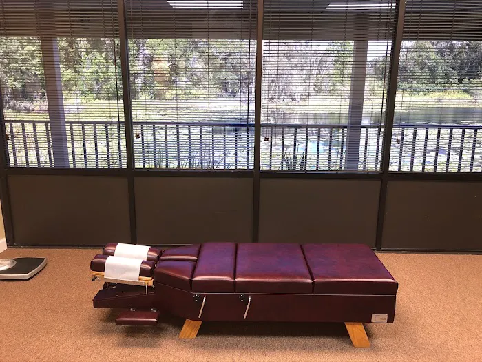Tampa Central Chiropractic Picture 4