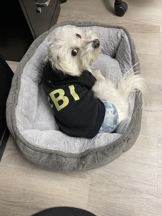 Body Focus Innovative Health Care Picture 1