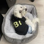 Body Focus Innovative Health Care