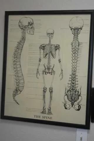 Carrollwood Chiropractic Center Picture 1