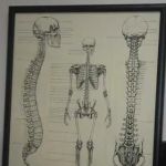 Carrollwood Chiropractic Center