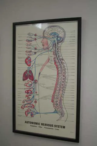 Carrollwood Chiropractic Center Picture 2