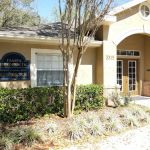 Tampa Chiropractic