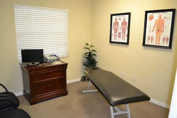 Tampa Chiropractic Picture 2
