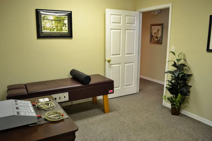 Tampa Chiropractic Picture 4