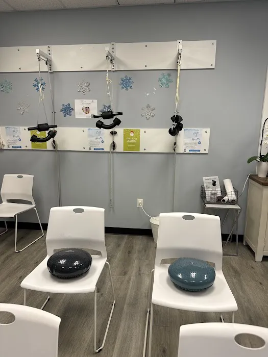 Seagate Chiropractic Carrollwood Picture 1