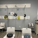 Seagate Chiropractic Carrollwood