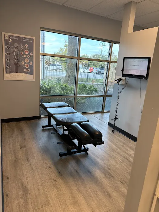 Seagate Chiropractic Carrollwood Picture 10