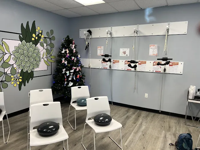 Seagate Chiropractic Carrollwood Picture 8