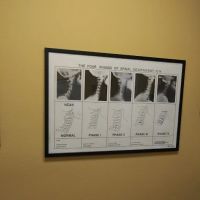 Long Chiropractic & Rehab Center ico