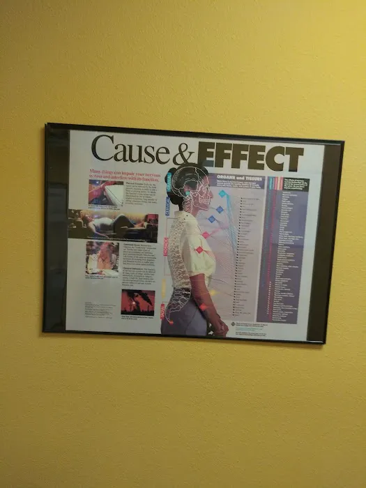 Long Chiropractic & Rehab Center Picture 4