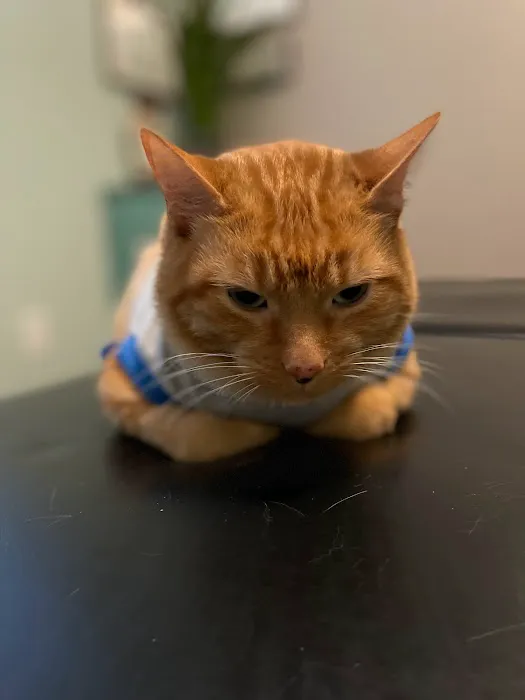 Light and Life Chiropractic Center, LLC Picture 8