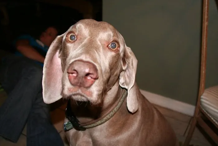 Light and Life Chiropractic Center, LLC Picture 5