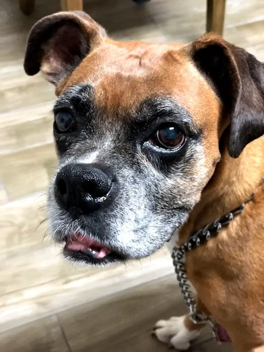 Light and Life Chiropractic Center, LLC Picture 3