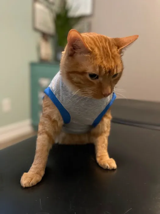 Light and Life Chiropractic Center, LLC Picture 2