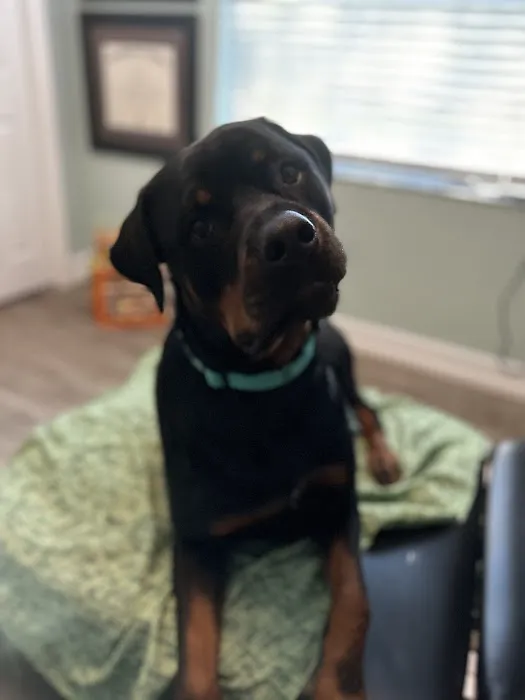 Linda P. Rock, DC Picture 1